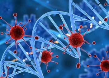 HPV nedir? Korunma yolları nelerdir?