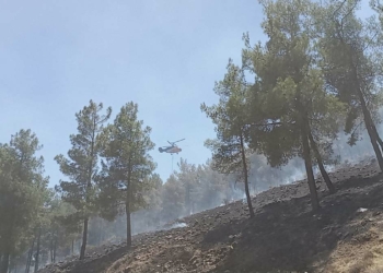 Hatay'da örtü yangınında 30 dönüm alan zararda