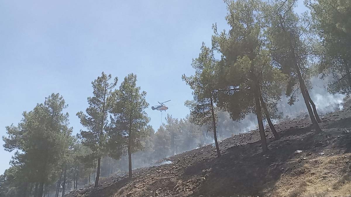 Hatay'da örtü yangınında 30 dönüm alan zararda