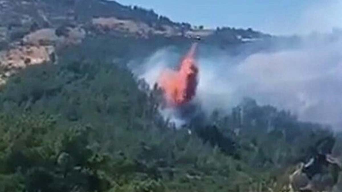 Havran'da orman yangını büyümeden söndürüldü