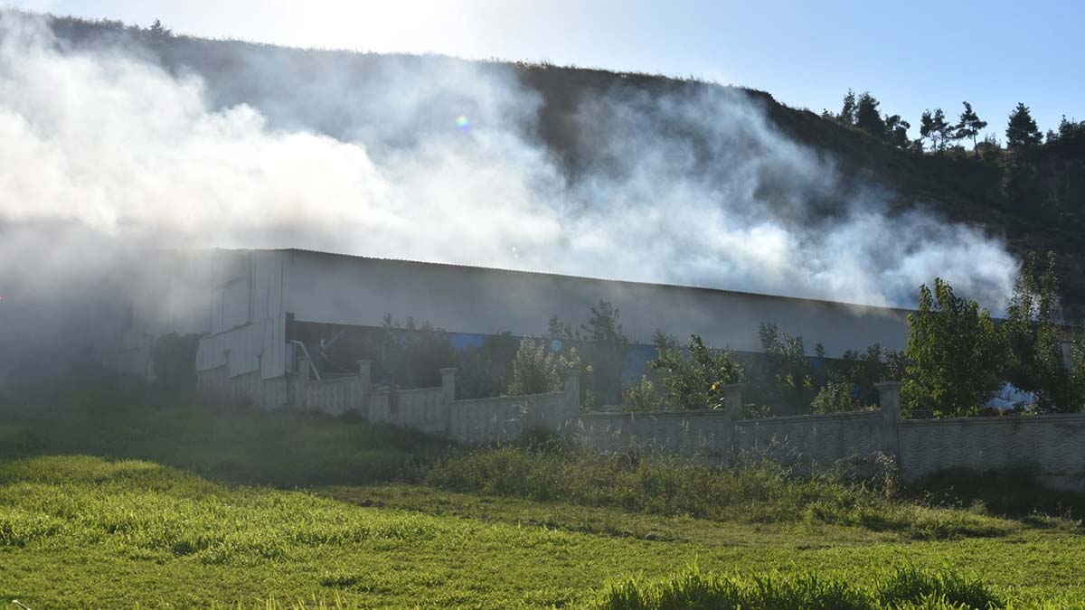 Hayvan çiftliğinde yangın: Çok sayıda hayvan öldü