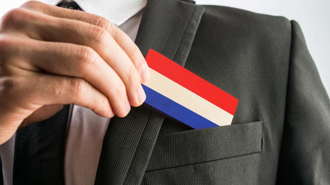 Hollanda'da şirket kurmak isteyenler artıyor