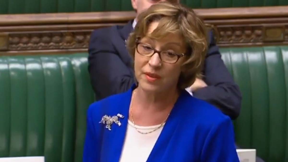 İngiltere'de Çevre Bakanı Pow da istifa etti