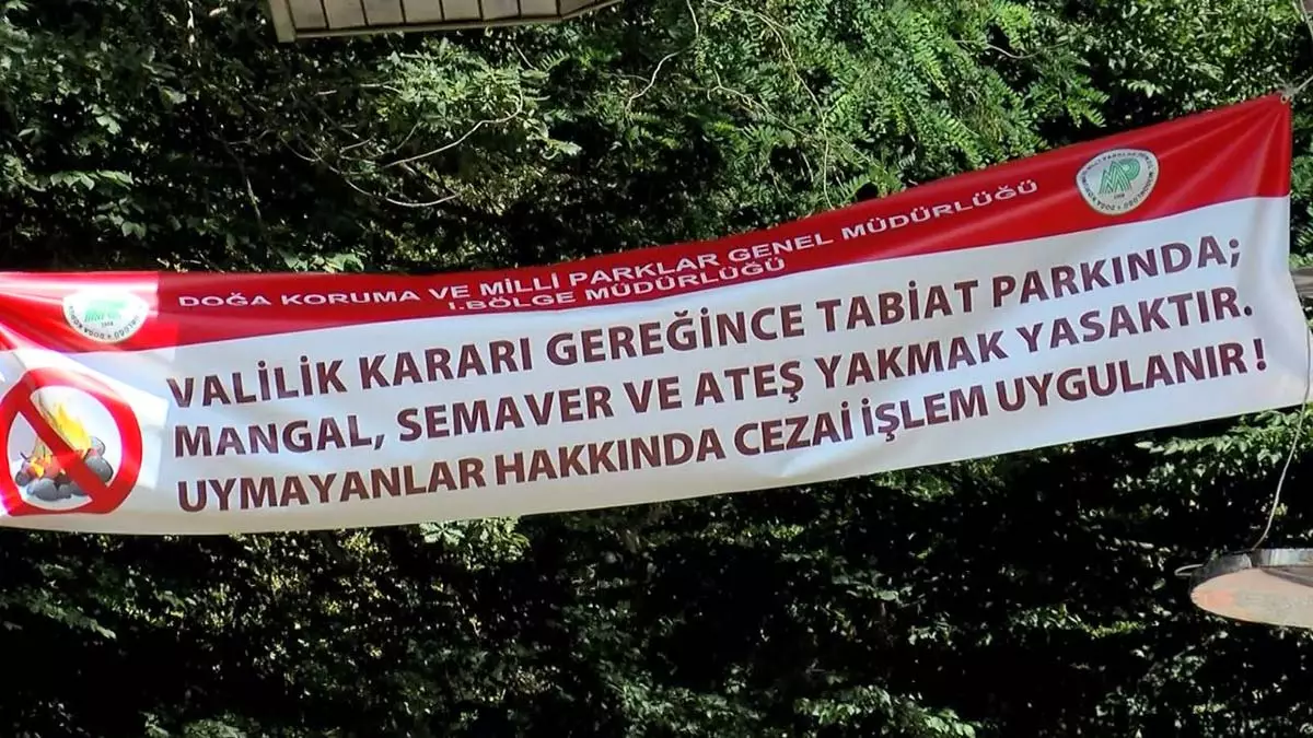 Istanbulda yol kenarlarinda mangal 1 - yerel haberler - haberton