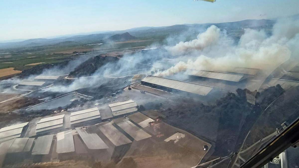 İzmir Bergama'da makilik yangını