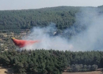 İzmir Buca'da orman yangını çıktı