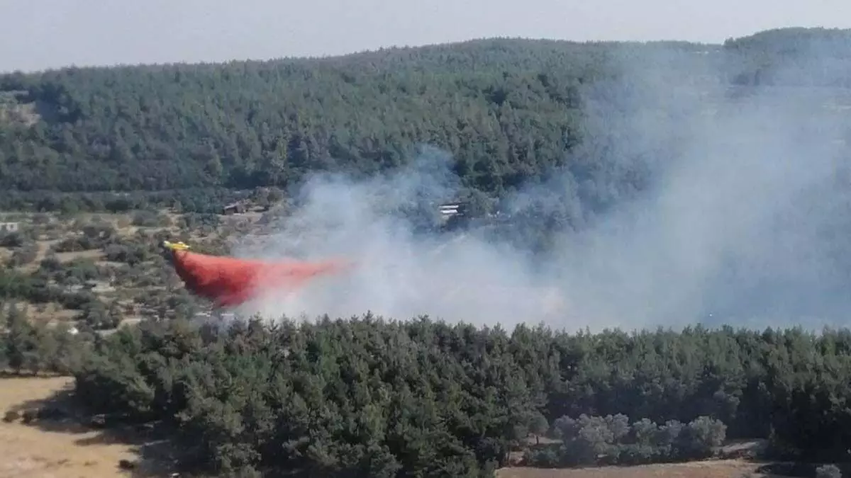 İzmir buca'da orman yangını çıktı