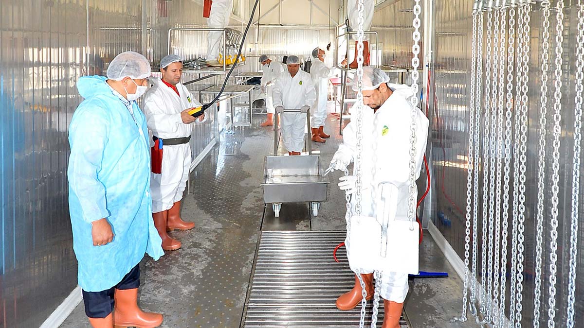 İzmir'de Kurban Bayramı hazırlıkları sürüyor