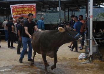 İzmir'de kurban kesim yerlerinde yoğunluk