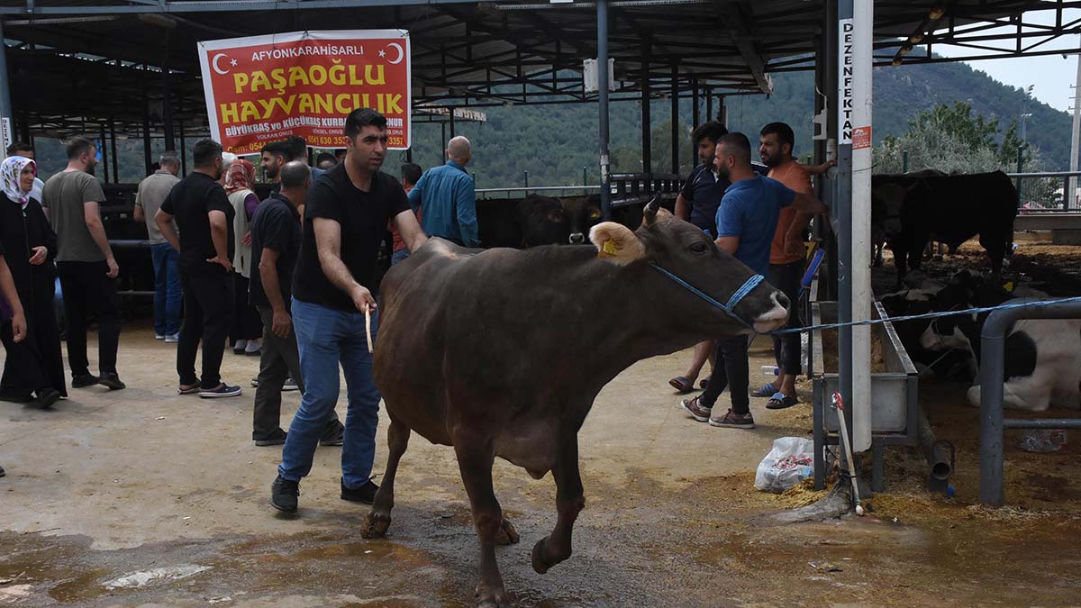 İzmir'de kurban kesim yerlerinde yoğunluk