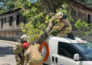 Kadıköy'de ağaç aracın üzerine devrildi