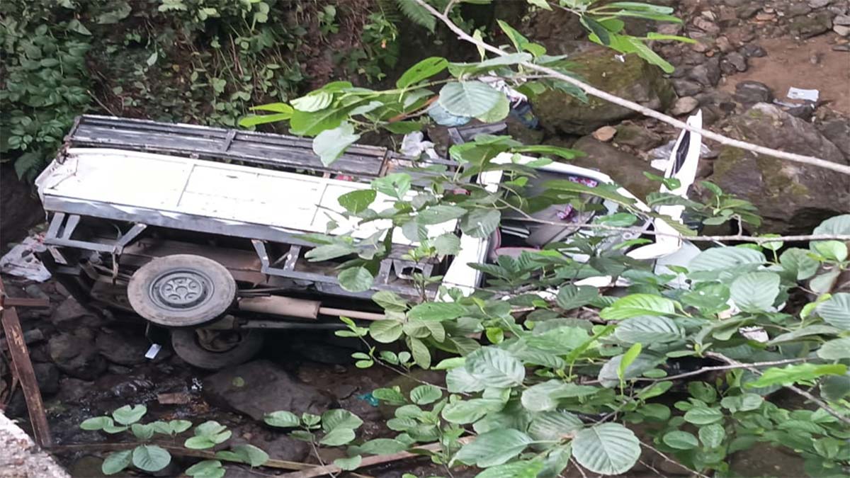 Kamyonet ırmağa düştü: 5 yaralı