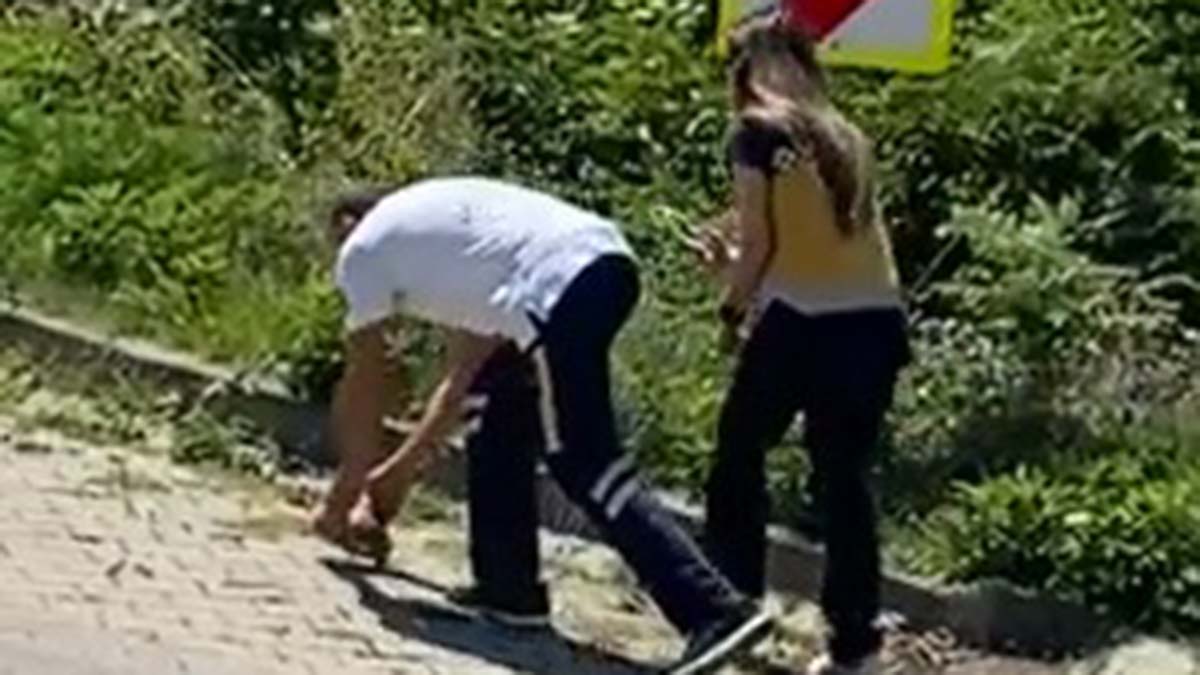 Kaplumbağa ölümlerine dikkat çektiler