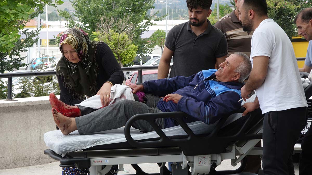 Karadeniz'de acemi kasaplar hastanelik oldu