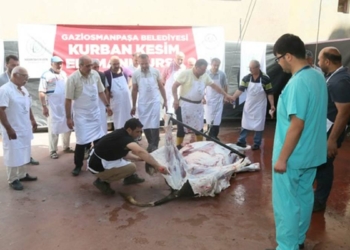 Kasaplar 'Kurban Kesim Elemanı Kursu'na katıldı