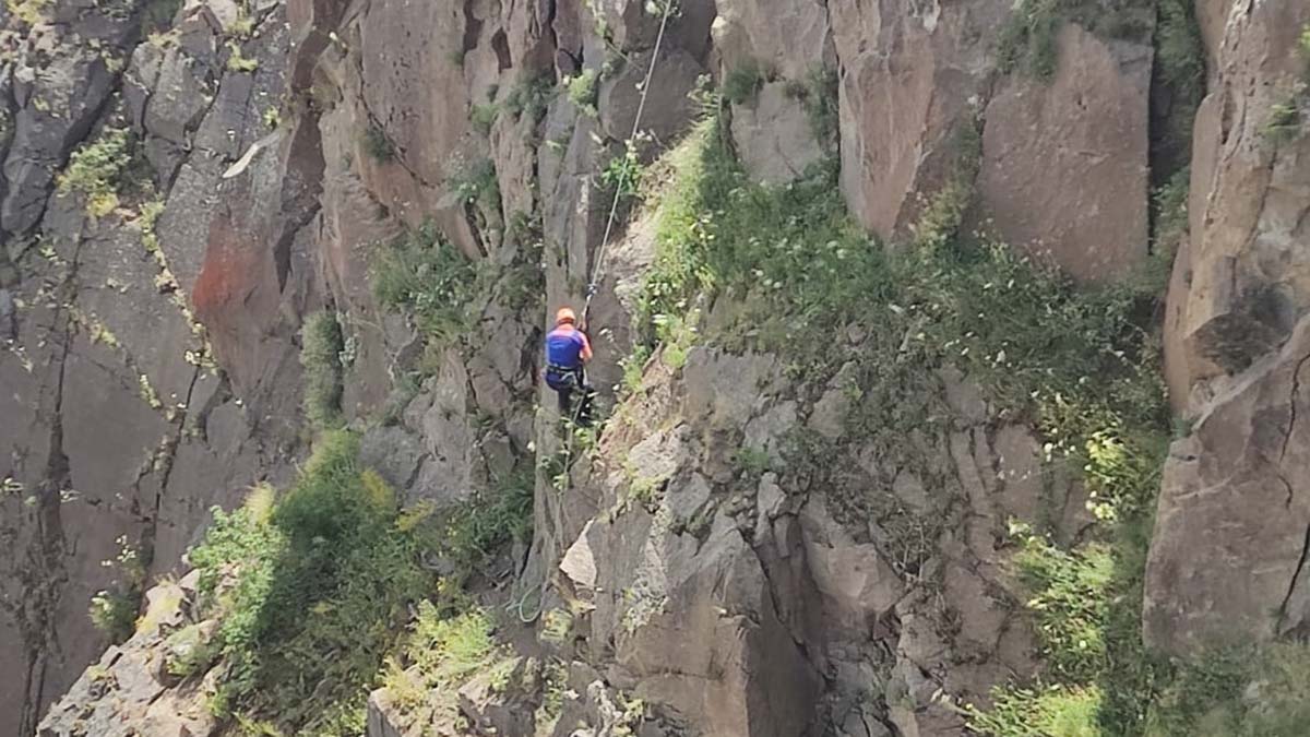 Kayalıklarda mahsur kalan keçileri AFAD kurtardı 