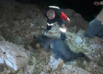 Kayıp çobanın cesedi bulundu