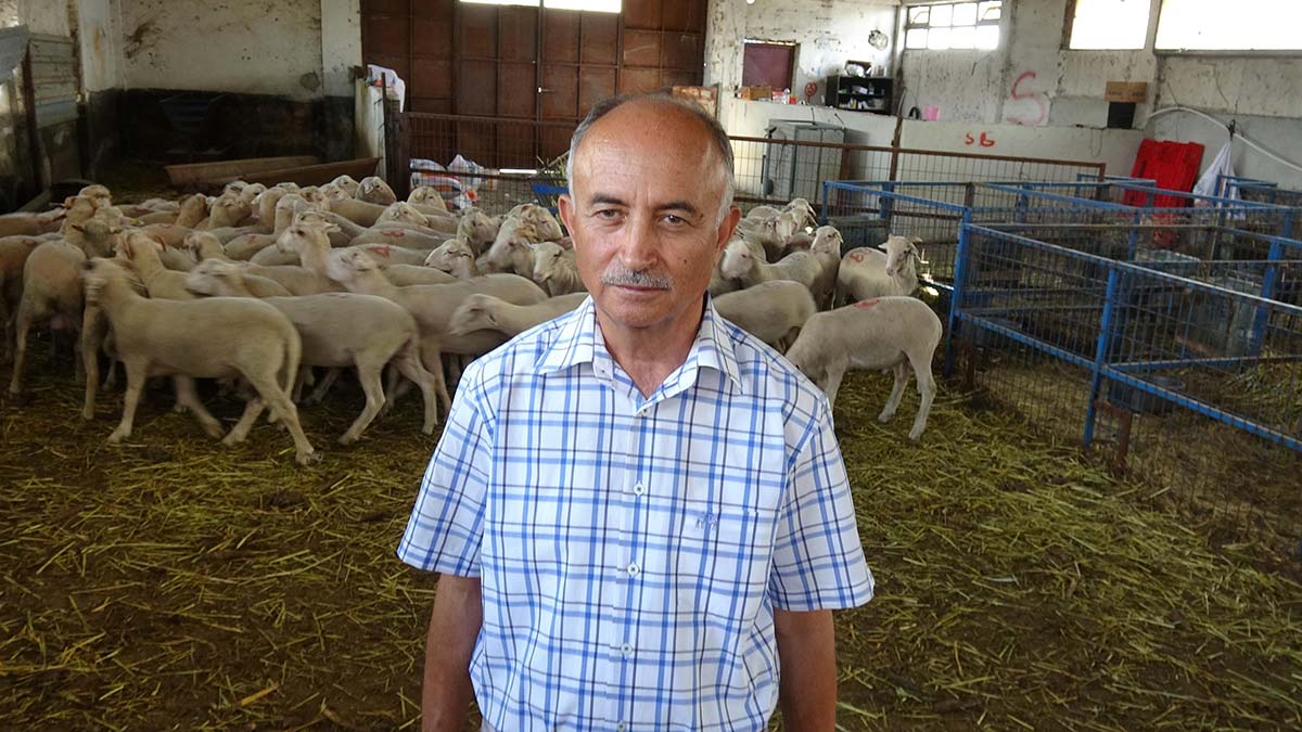 'Kesilecek kurbanlar çok genç olmamalı'