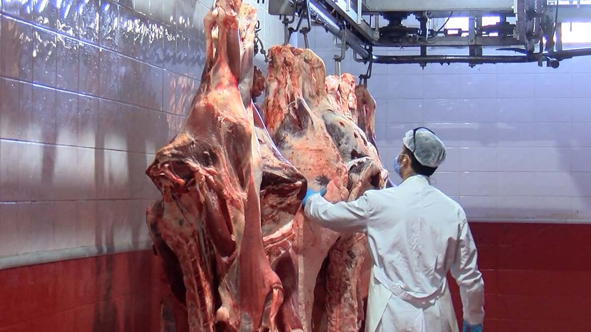 Kurban eti 0 4 derecede muhafaza edilmeli 2 - sağlık haberleri - haberton