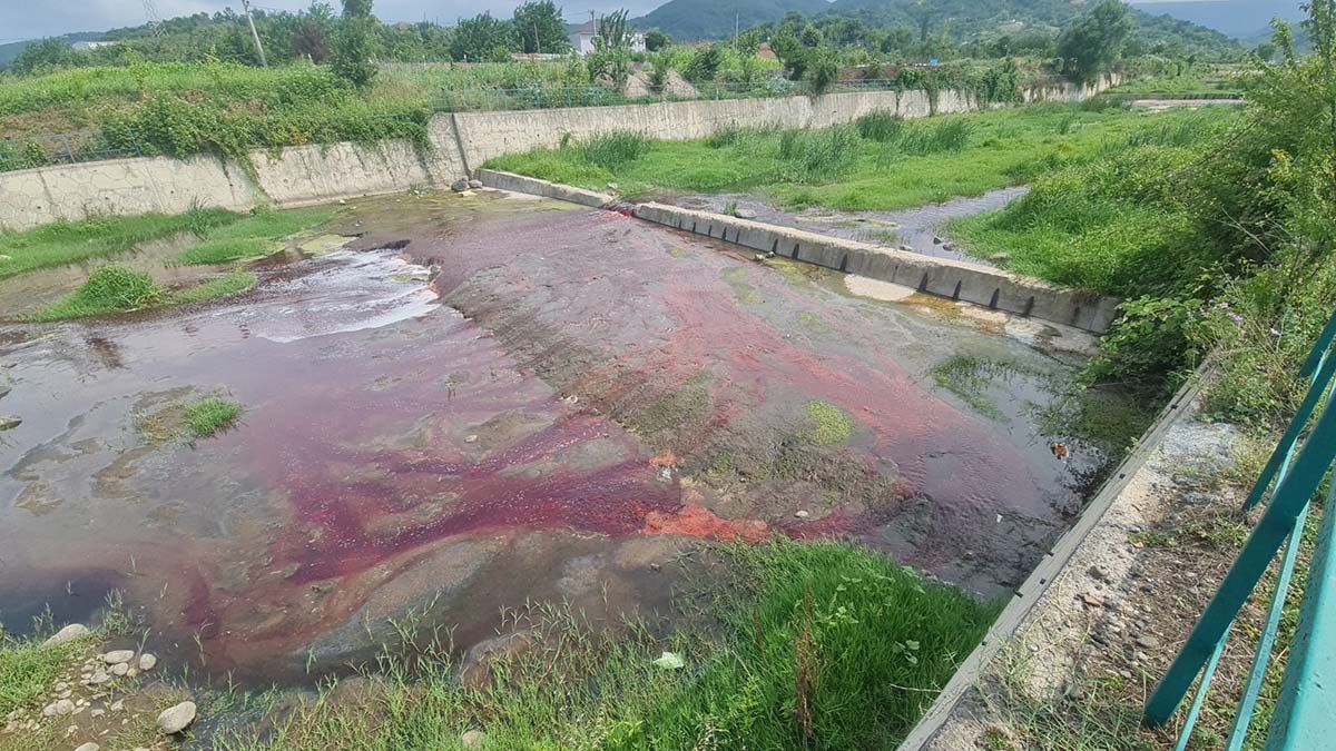 Kurbanlıkların kanı dereye aktı, su kırmızıya döndü