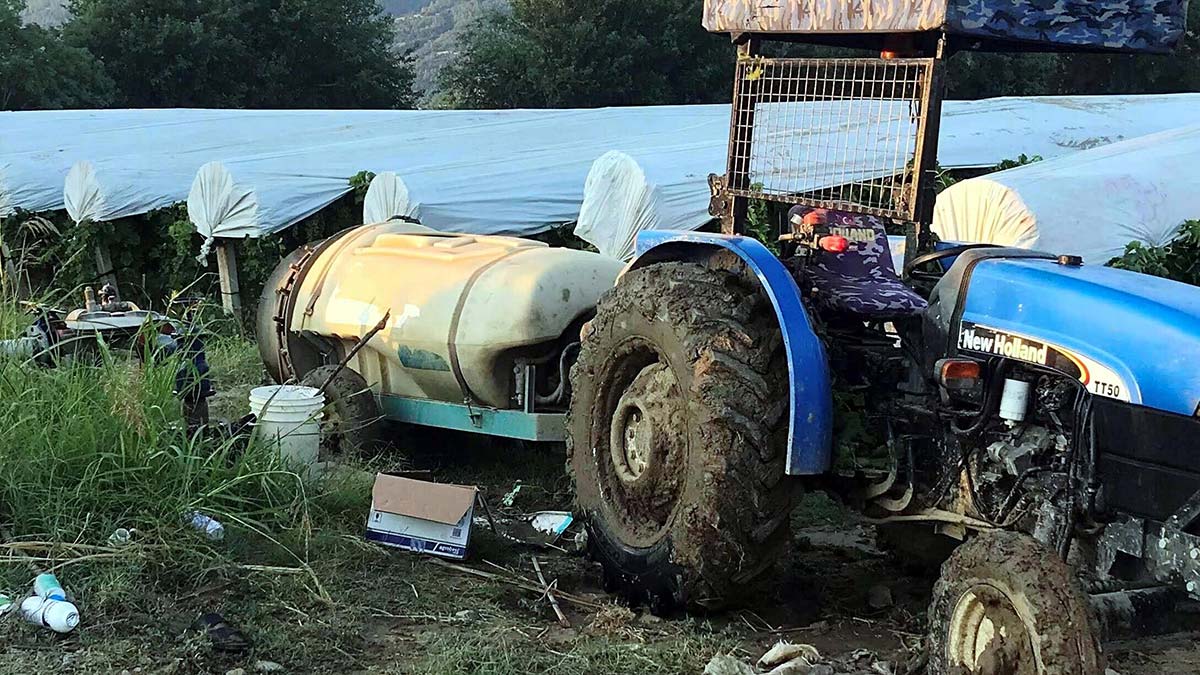 Kuzenlerin arazi kavgası: 1 ölü, 1 yaralı