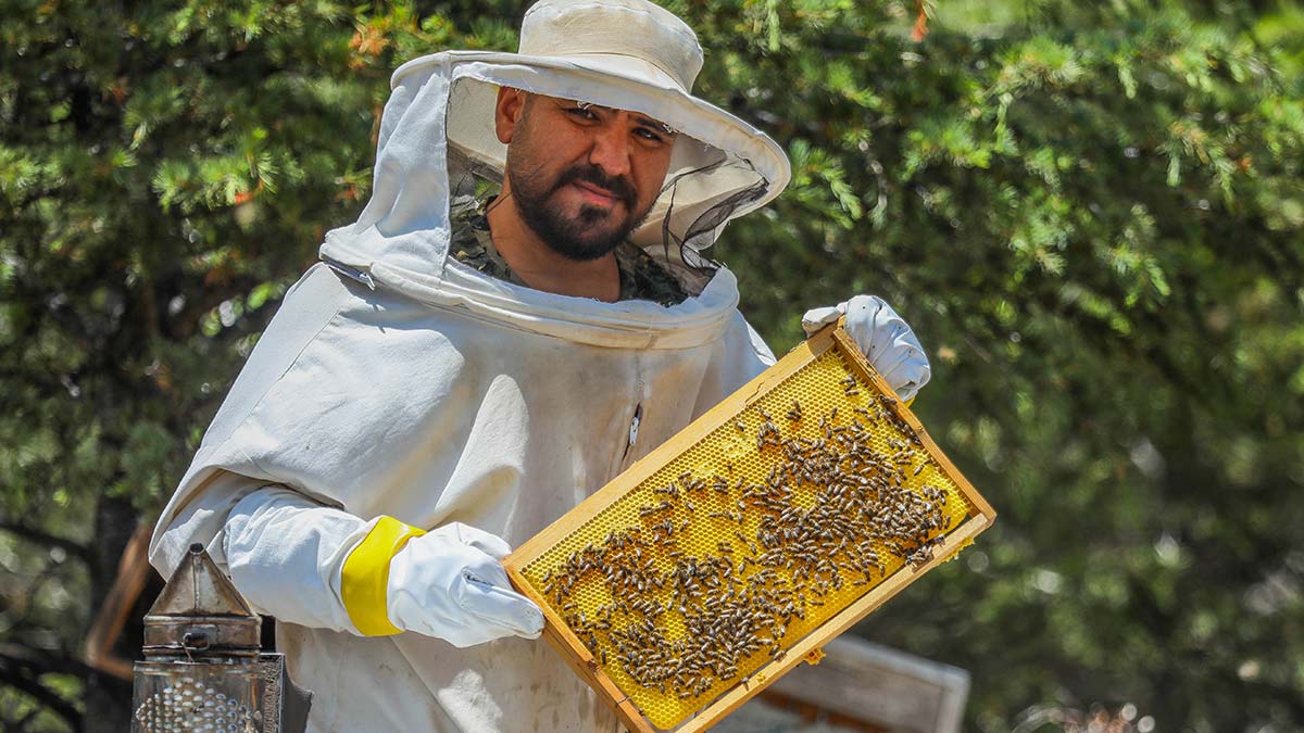 Lavanta balının kilosu 250 TL