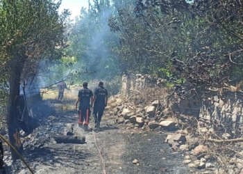 Malatya'da hava sıcaklığı yangınlara neden oluyor