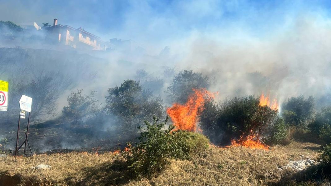 Maltepe'de otluk alanda yangın