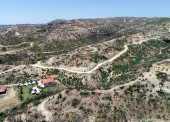 Manavgat'ta yanan alanlar yeniden yeşeriyor