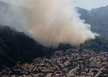 Marmaris'te yerleşim yeri yakınında orman yangını