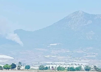 Mersin'de orman yangını