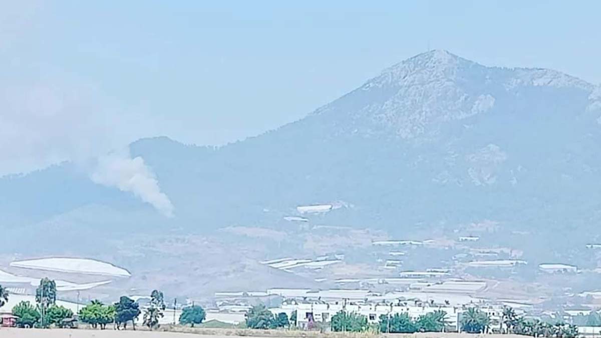 Mersin'de orman yangını