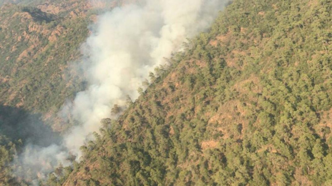Muğla Marmaris'te orman yangını çıktı
