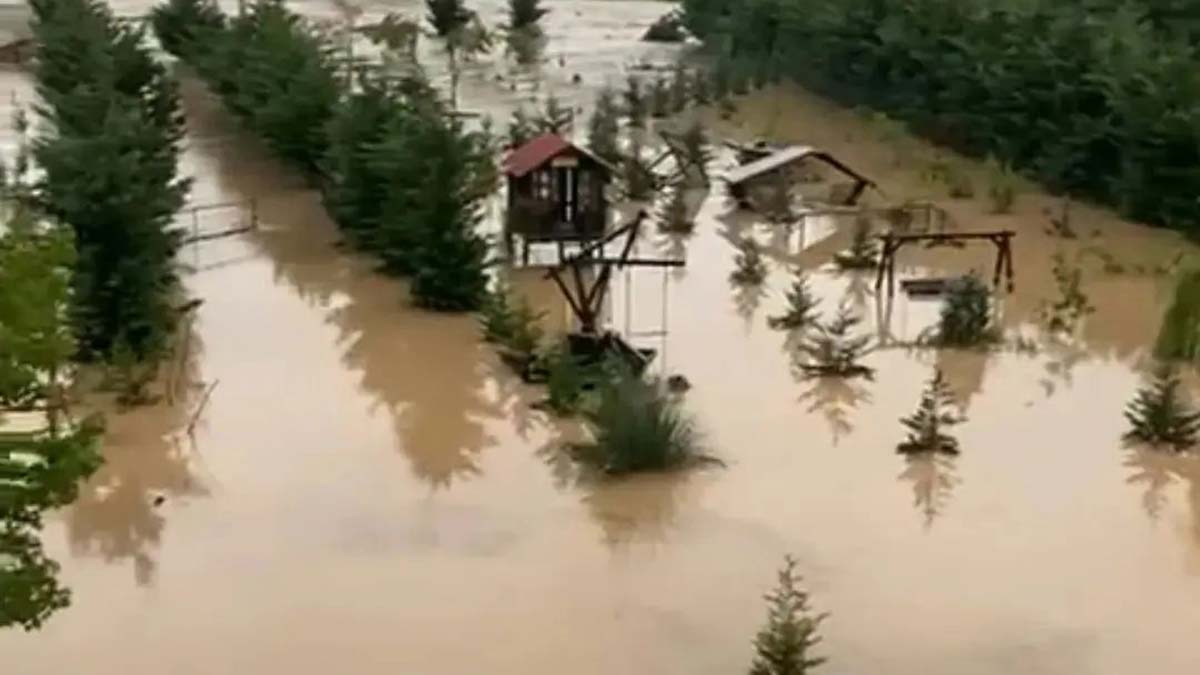 Ordu'da dere taştı; ev ve iş yerlerini su bastı