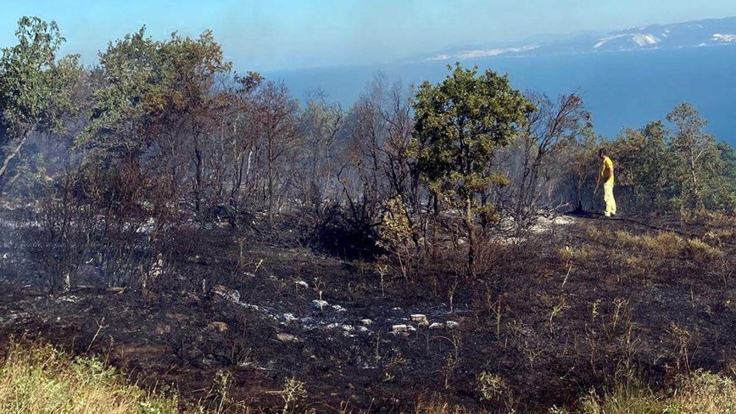 Ormanda yangına neden olan 3 kişi tutuklandı