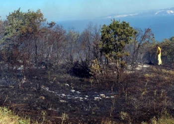 Ormanda yangına neden olan 3 kişi tutuklandı