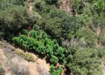 Polis dronu uyuşturucuya geçit vermiyor