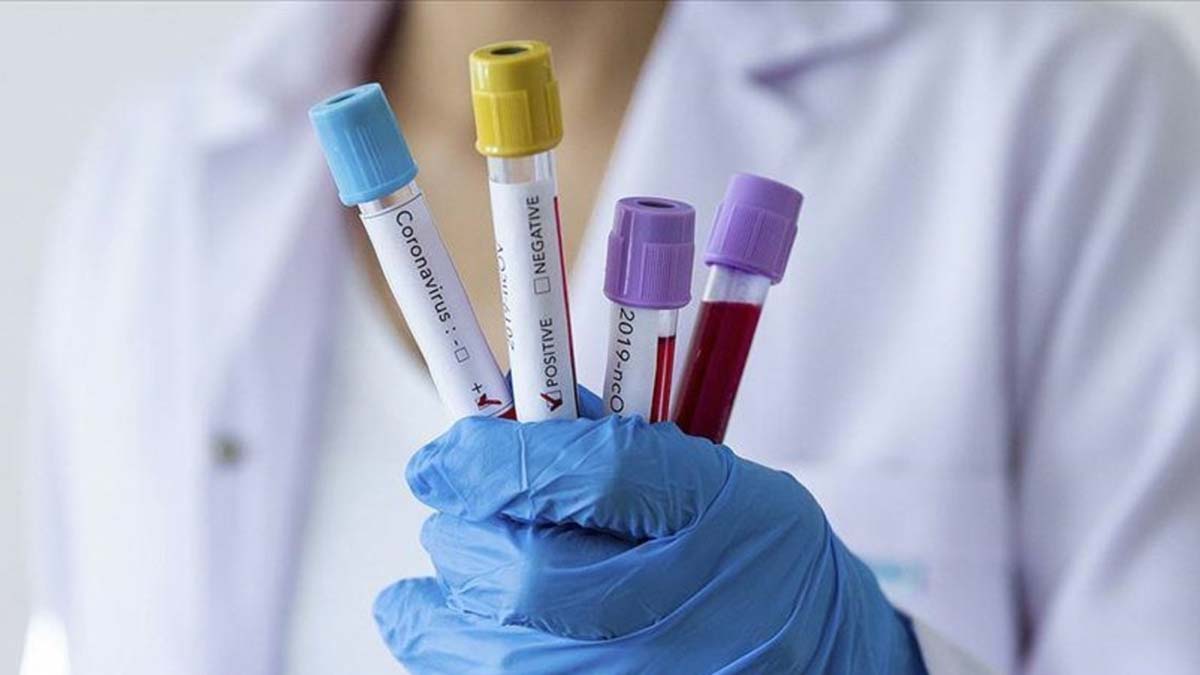 Prof. Dr. Yavuz vakalardaki artışa dikkat çekti