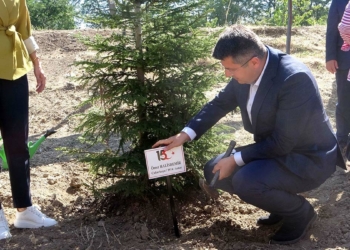 Şehit Ömer Halisdemir anısına fidan dikildi