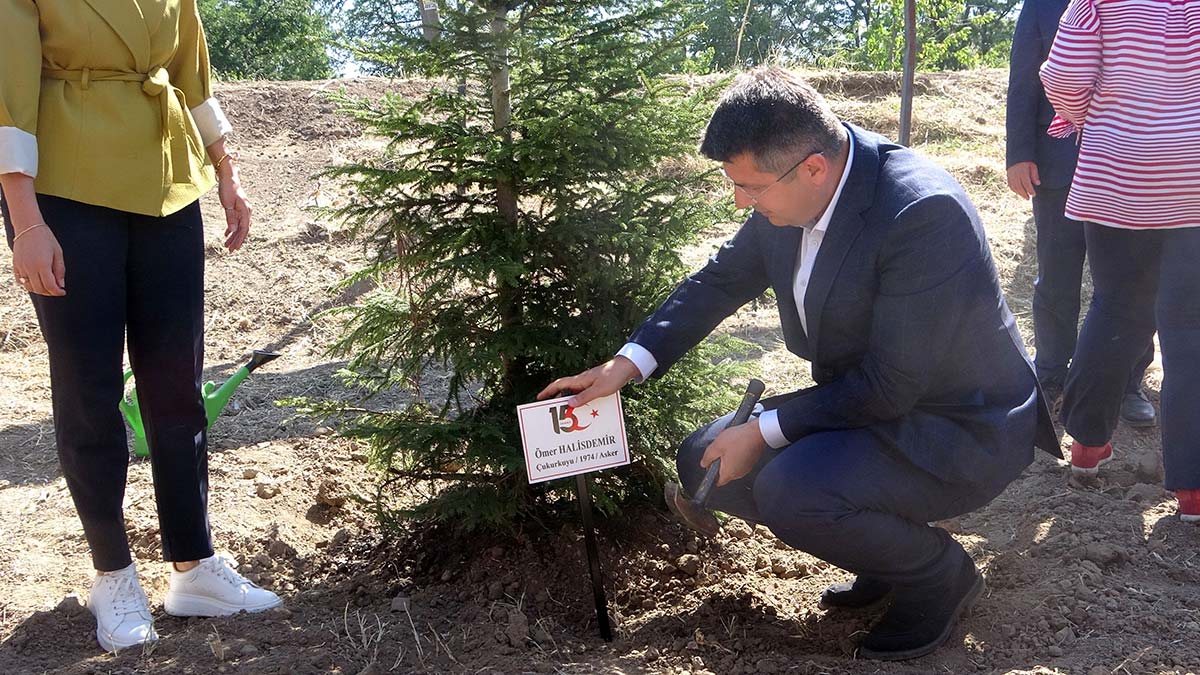 Şehit Ömer Halisdemir anısına fidan dikildi