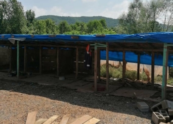 Selde 56 köpeğin öldüğü ruhsatsız barınak yıkıldı