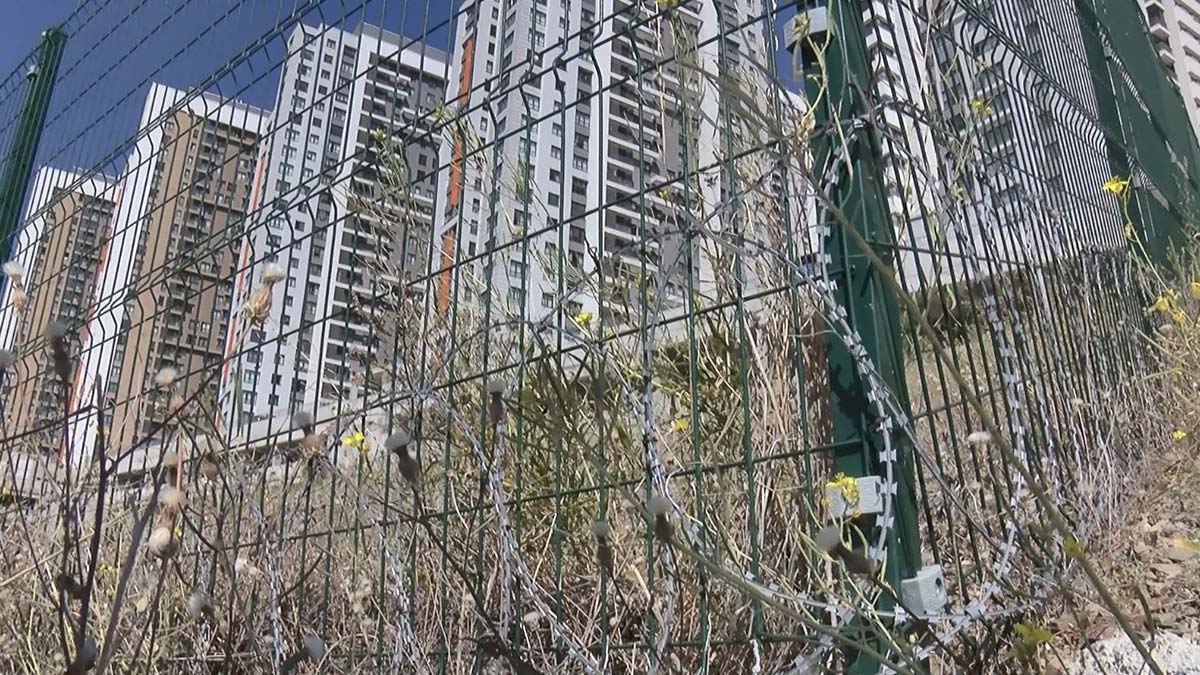 Sitede sokak hayvanlarına jiletli tel tuzağı