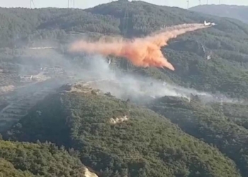 Söke'deki yangında 50 dönüm alan zarar gördü
