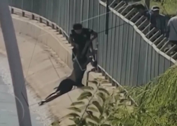 Sulama kanalına düşen kadını polis kurtardı