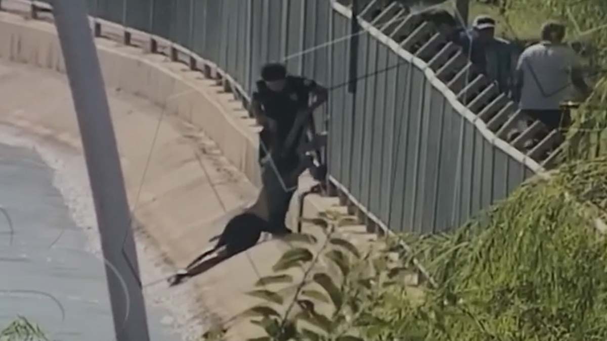 Sulama kanalına düşen kadını polis kurtardı