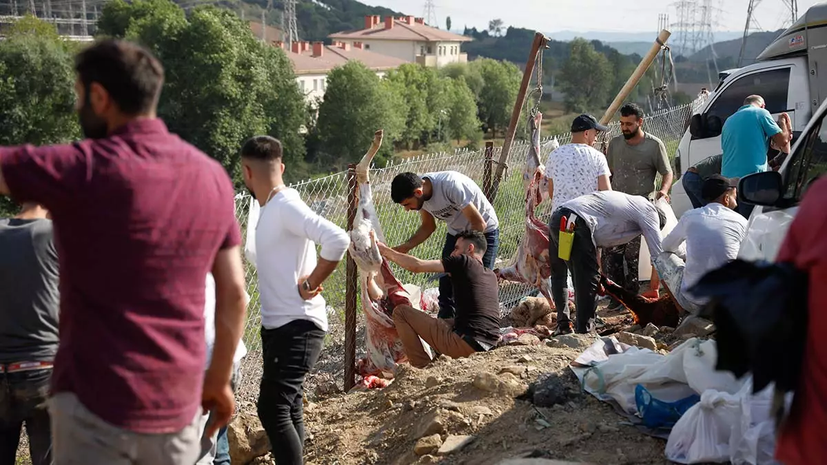 Sultangazide kacak kesim yapanlara ceza yagdi 1 - yerel haberler - haberton