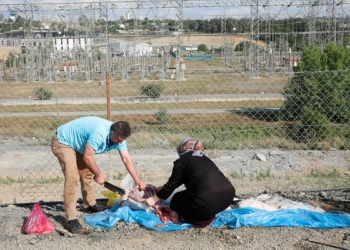 Sultangazi'de kaçak kesim yapanlara ceza yağdı