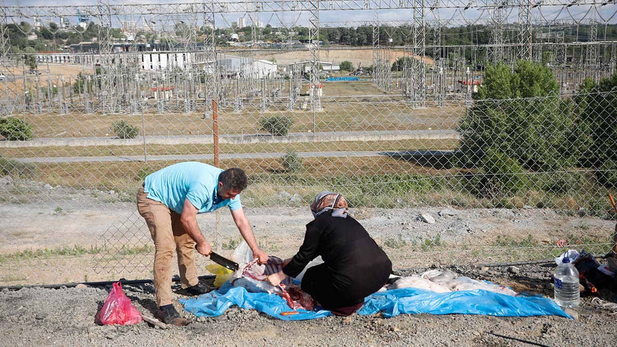 Sultangazi'de kaçak kesim yapanlara ceza yağdı