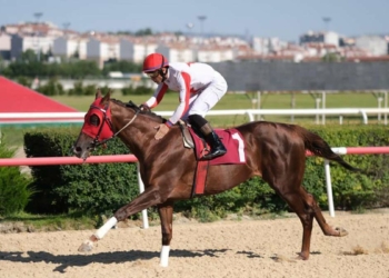 TSYD Ankara Şubesi Koşusu tamamlandı
