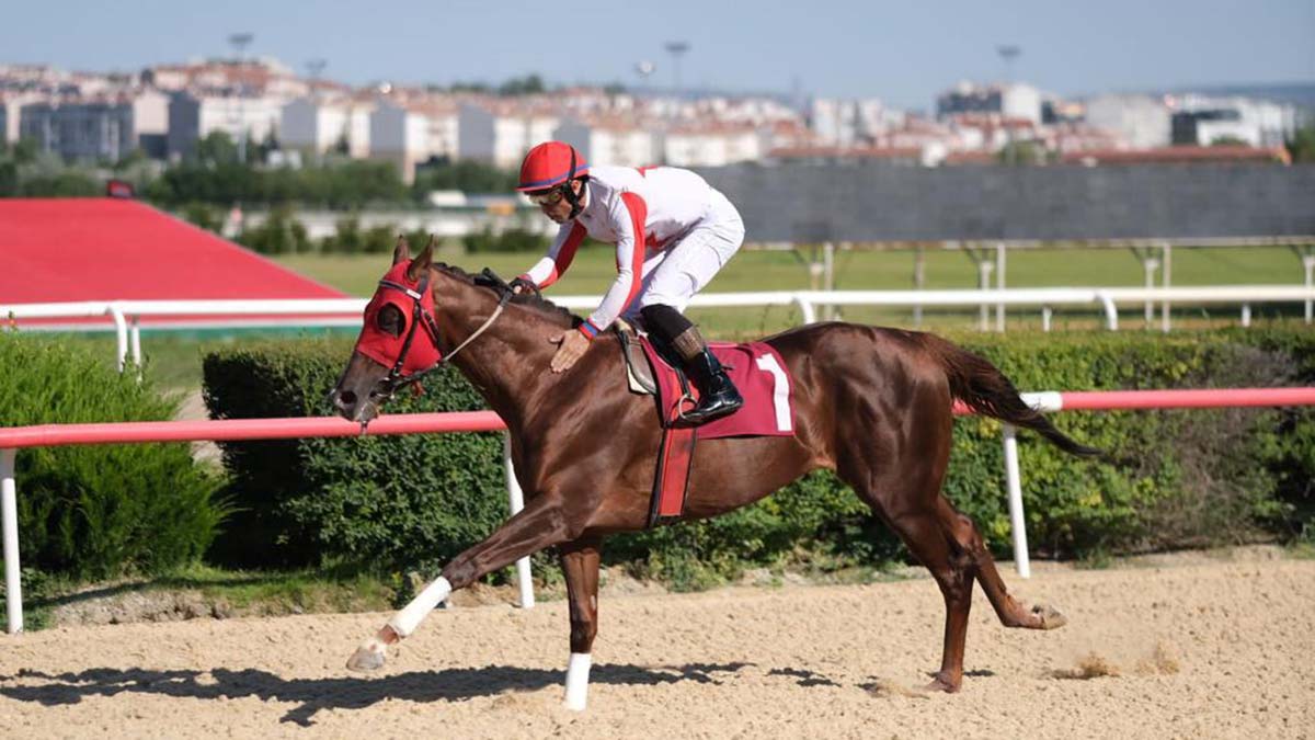 TSYD Ankara Şubesi Koşusu tamamlandı